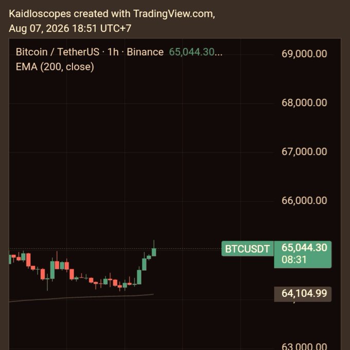 A TradingView candlestick chart of 'Bitcoin / TetherUS · 1h · Binance' showing the BTCUSDT price at 65,044.30 with an EMA (200, close) indicator, dated August 07, 2026.