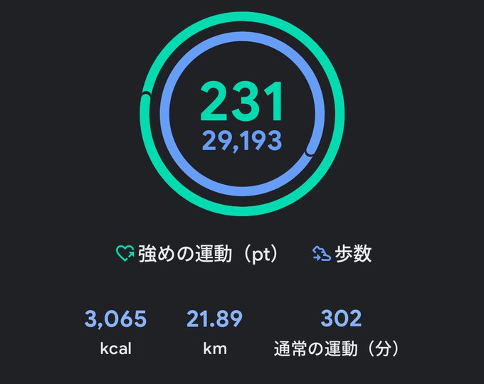 A fitness tracking dashboard showing 231 exercise points, 29,193 steps, 3,065 kcal burned, 21.89 km distance, and 302 minutes of normal exercise in Japanese.