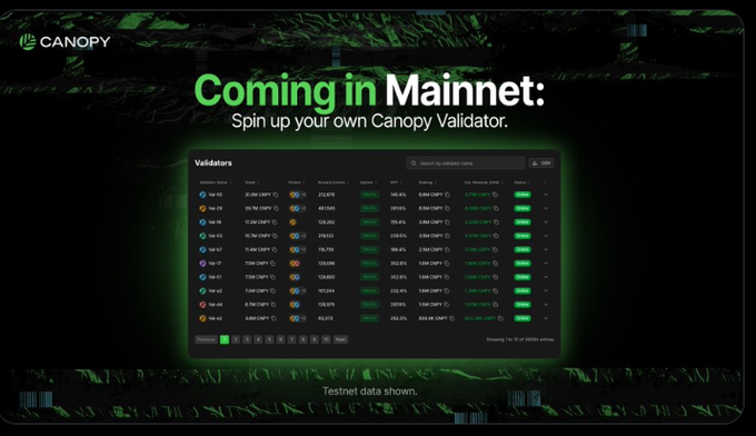 The image is a promotional graphic for Canopy announcing that validators are "Coming in Mainnet" on Ethereum, encouraging users to "Spin up your own Canopy Validator." It displays a screenshot of a validator dashboard showing various validators (labeled No.01 through No.12) with metrics like stake (10-25 CNPY), ETH staked, balance, and APR, with a note at the bottom indicating "Testnet data shown." This relates to the post by showcasing Canopy's streamlined validator interface, which directly addresses the author's pain point about the complex, time-consuming setup of server monitoring and alerts needed to run validators reliably.