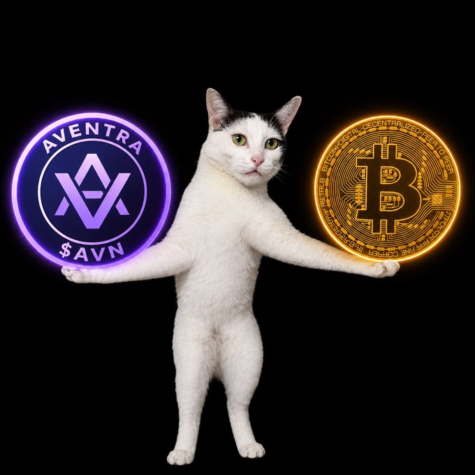 A white cat stands upright on its hind legs with arms outstretched, balancing a glowing purple Aventra ($AVN) token in its right paw and a golden Bitcoin coin in its left against a black background. The image humorously ties to the post's message about mining Aventra (AVN), using the cat as a playful mascot to promote the free crypto mining opportunity via the linked Google Play app.