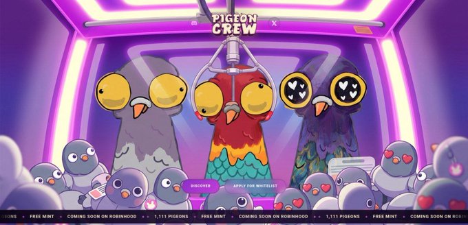 A cartoon illustration titled 'PIGEON CREW' shows anthropomorphic pigeons in a neon-lit room, with 'DISCOVER' and 'APPLY FOR WHITELIST' buttons and a scrolling ticker mentioning 'FREE MINT', 'COMING SOON ON ROBINHOOD', and '1,111 PIGEONS'.