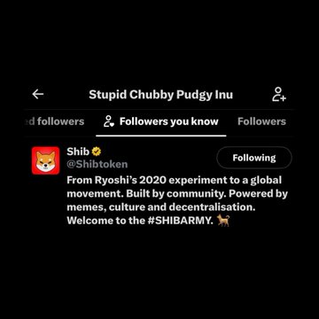 The image shows an X (Twitter) profile page for "Stupid Chubby Pudgy Inu" with the display name "Shib" and handle @Shibtoken, showing the account is now being followed by the main SHIB account. The bio reads: "From Ryoshi's 2020 experiment to a global movement. Built by community. Powered by memes, culture and decentralisation. Welcome to the #SHIBARMY."

This screenshot confirms the news that the official SHIB ($SHIB) account has followed the $SCPINU account, signaling potential engagement or interest between the two Shiba Inu-themed meme coin communities.
