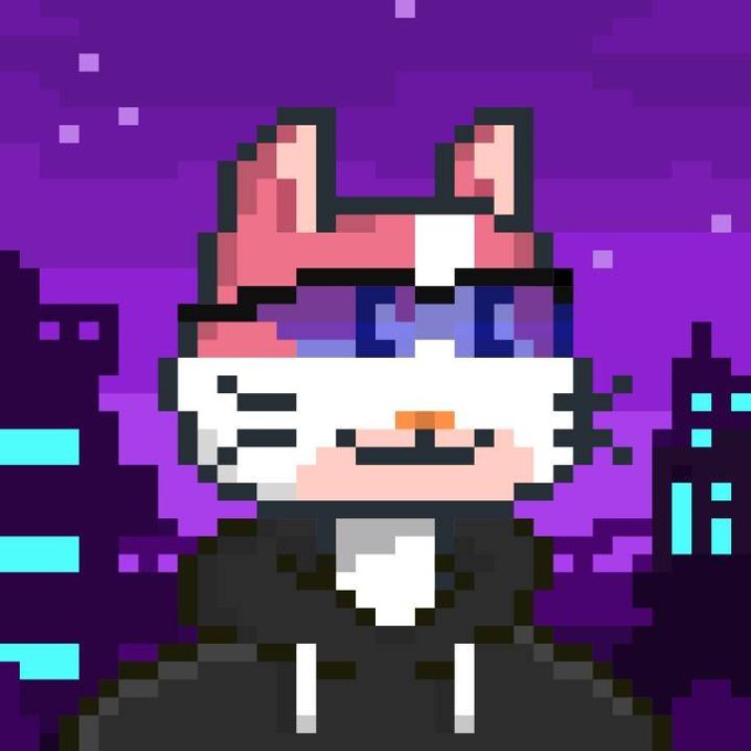 A pixel art illustration of a white anthropomorphic character with cat ears, blue sunglasses, and a black hoodie against a purple night sky background.