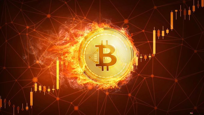 A dramatic image of a burning golden Bitcoin coin surrounded by flames, set against a background featuring a network mesh pattern and orange financial candlestick charts.