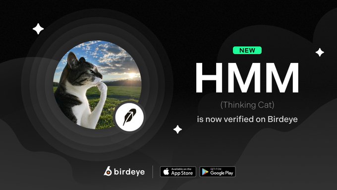 A promotional graphic featuring a contemplative cat photo inside a dark circular frame announces that "$HMM (Thinking Cat) is now verified on Birdeye," with a "NEW" badge and app download links for the App Store and Google Play.