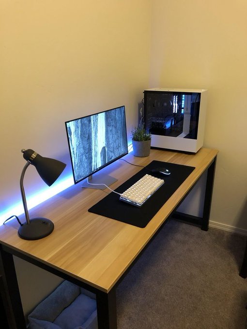 The image shows a wooden desk with two computer monitors, a keyboard, and a mouse. The desk also has a lamp that provides lighting for the workspace. A potted plant can be seen near the desk, adding some greenery to the room. The desk is situated in front of a wall, creating an organized and functional work environment.