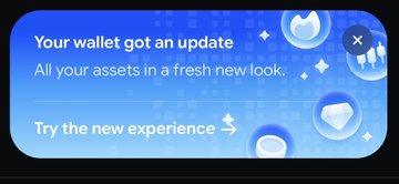 A blue UI notification banner stating 'Your wallet got an update - All your assets in a fresh new look' with a 'Try the new experience' button.