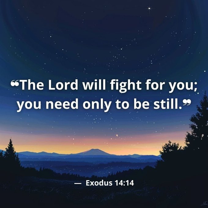 A scenic night landscape with stars and a sunset serves as the background for a Bible verse from Exodus 14:14: 'The Lord will fight for you; you need only to be still.'