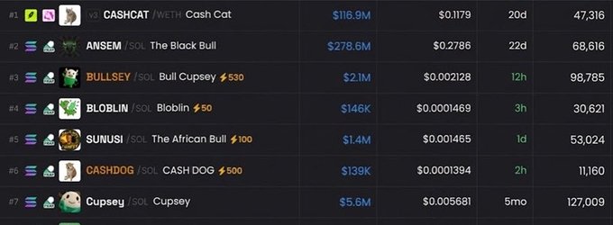 A leaderboard listing crypto tokens with 'CASHCAT/WETH Cash Cat' at #1 ($116.9M), followed by 'ANSEM/SOL The Black Bull' ($278.6M), 'BULLSEY/SOL Bull Cupsey', 'BLOBIN/SOL Bloblin', 'SUNUSI/SOL The African Bull', 'CASHDOG/SOL CASH DOG', and 'Cupsey/SOL Cupsey'.