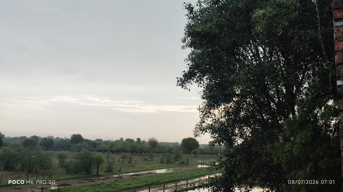 A misty early morning landscape showing trees, wetlands, and a cloudy sky, taken with a POCO M6 PRO 5G on 08/07/2026 at 07:01.