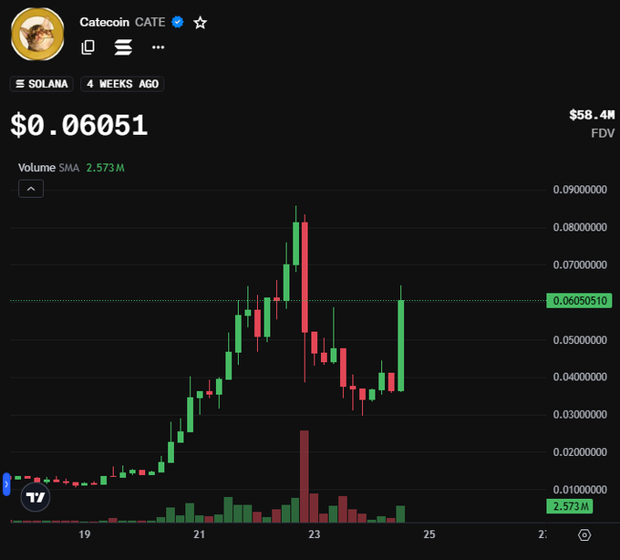 A candlestick price chart for Catecoin (CATE) on Solana, showing a current price of $0.06051, FDV of $58.4M, and volume SMA of 2.573M over 4 weeks.