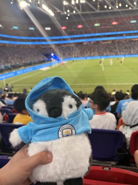 A plush penguin wearing a light blue Manchester City hoodie is held up in a stadium during a match, with fans and the pitch visible in the background. The image playfully matches the caption's joke about a "little penguin" being "snapped" (photographed) during a game.