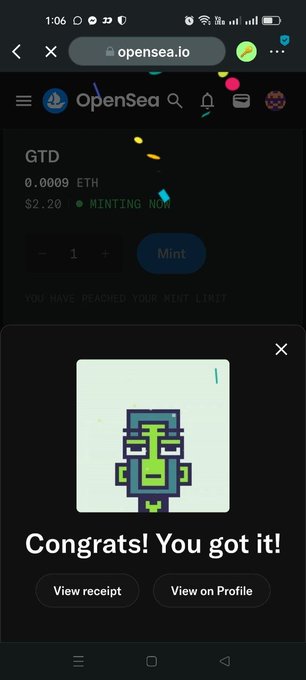 A mobile screenshot of the OpenSea website showing a successful NFT mint confirmation that reads "Congrats! You got it!" with a pixel-art bird character.