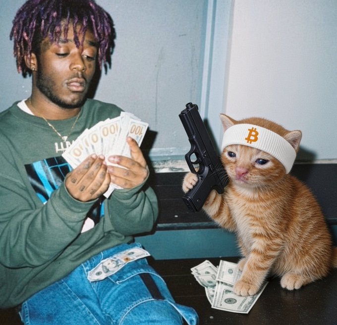 An edited meme-style photo of a person with purple dreadlocks counting $100 bills while sitting next to an orange kitten wearing a Bitcoin headband holding a handgun, with cash scattered around.
