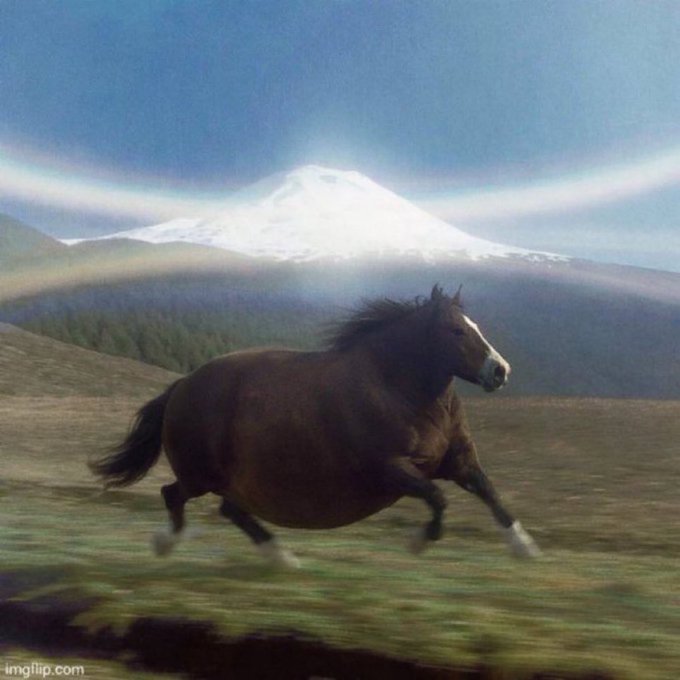 A dark horse gallops across an open grassy plain with a snow-capped mountain rising majestically in the background, evoking a sense of freedom and escape that perfectly matches the wishful sentiment of being elsewhere in one's mind.