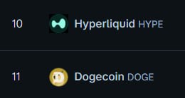 The image shows a comparison of two cryptocurrencies, HYPED and DOGE, with their market capitalizations displayed below them. The cryptocurrency named "HYPED" has surpassed "DOGE" as the 10th largest cryptocurrency by market capitalization.
