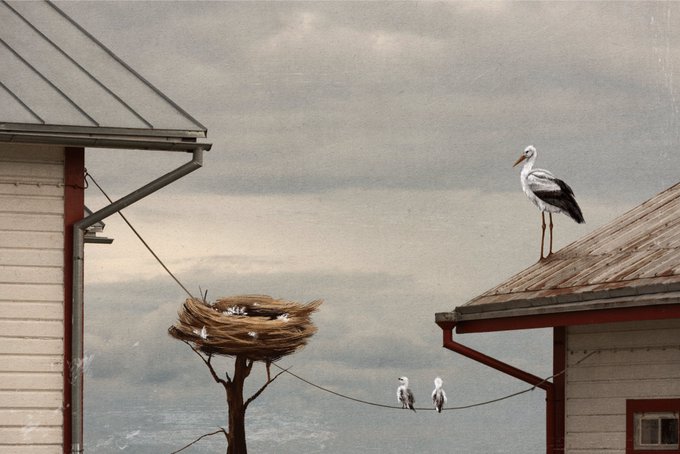 A whimsical illustration shows a stork standing on a rooftop to the right, with its nest perched on a tree branch in the middle and two baby birds sitting on a wire below, set against a cloudy sky.