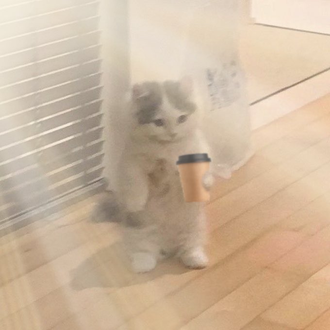 A blurry photo of a stuffed cat toy sitting on a wooden floor next to white window blinds, holding what appears to be a digitally added coffee cup emoji.