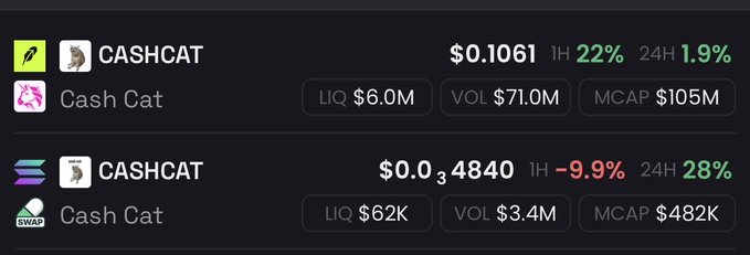 A cryptocurrency tracking interface displaying two 'CASHCAT' tokens with prices of $0.1061 (+22% 1H) and $0.04840 (-9.9% 1H), showing liquidity, volume, and market cap metrics.
