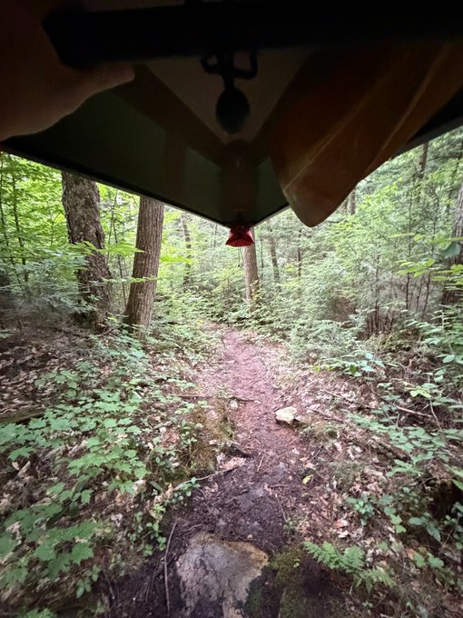 A point-of-view shot from inside a green canoe, looking out over the bow at a narrow forest trail winding through lush trees. The caption relates to the post by showing the scenic wilderness location where the poster was while staying hidden inside a boat.