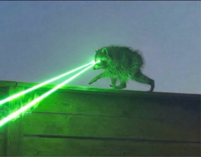 A raccoon perched on a wooden ledge shoots green laser beams from its eyes at night, humorously illustrating the post's message about unusually powerful market catalysts and the meme stock $Jimothy surpassing the influence of key opinion leaders (KOLs).