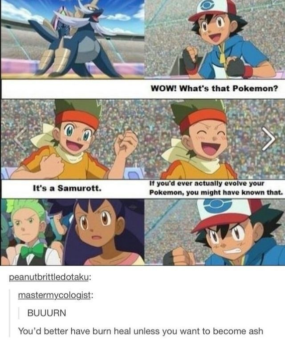 A Tumblr post with a Pokémon meme featuring Ash asking 'WOW! What's that Pokemon?' with replies identifying it as a Samurott, along with a 'mastermycologist' post saying 'BUUURN You'd better have burn heal unless you want to become ash'.