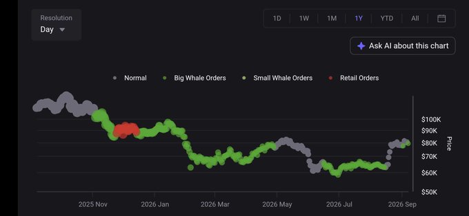 A cryptocurrency price chart showing "Normal," "Big Whale Orders," "Small Whale Orders," and "Retail Orders" from November 2025 to September 2026, with prices ranging from $50K to $100K.