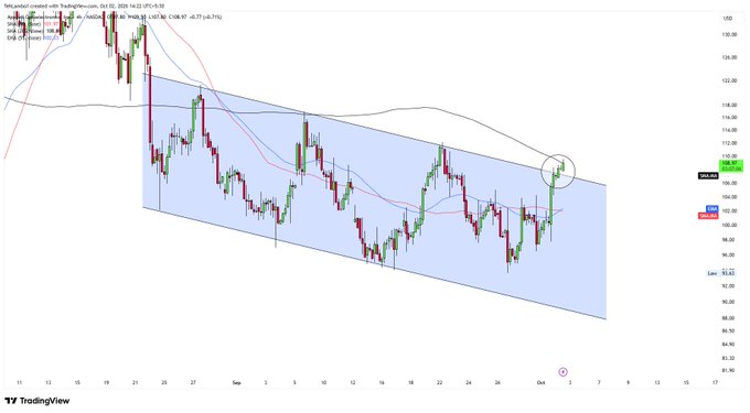 A TradingView chart displays price action within a descending channel pattern, with a green circle highlighting a recent price breakout near the upper boundary.