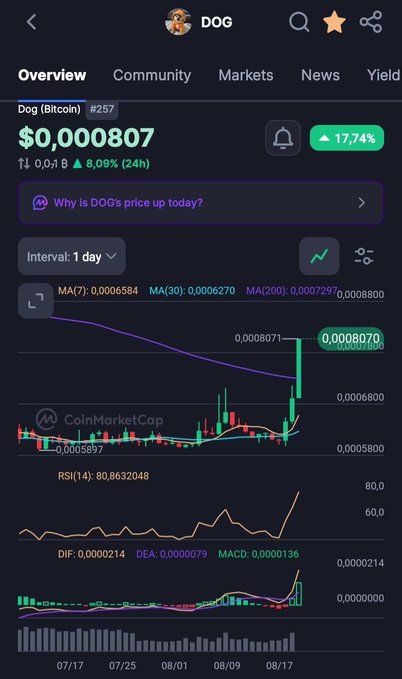 A mobile screenshot of a cryptocurrency tracking app showing the price chart for 'DOG Dog (Bitcoin)' at $0,000807 with a 17.74% daily increase, including technical indicators like MA, RSI, DIF, DEA, and MACD.