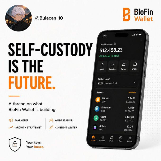 A BloFin Wallet promotional post by @Bulacan_10 stating 'SELF-CUSTODY IS THE FUTURE' with a phone showing a $12,458.23 balance and various cryptocurrency holdings.