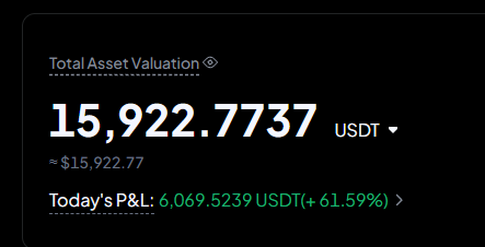 A cryptocurrency portfolio screen showing 'Total Asset Valuation' of 15,922.7737 USDT (~$15,922.77) with 'Today's P&L: 6,069.5239 USDT (+61.59%)' in green.