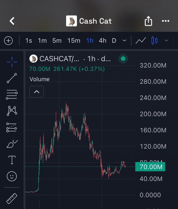 The image shows a 1-hour TradingView chart for the $CASHCAT token, displaying a price of 70.00M with a slight gain of +0.37% and volume at 261.47K, illustrating the user's continued position in the meme coin despite a sharp decline from its earlier peak near 200.00M.