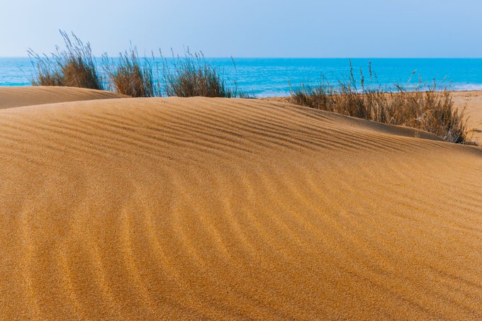 Sweeping sand dunes etched with wind ripples meet a turquoise sea beneath sparse beach grass, capturing the untouched shoreline that the post's caption invites collectors to leave their mark upon through "La Mémoire des Vagues" (0.15 Ξ) on SR.