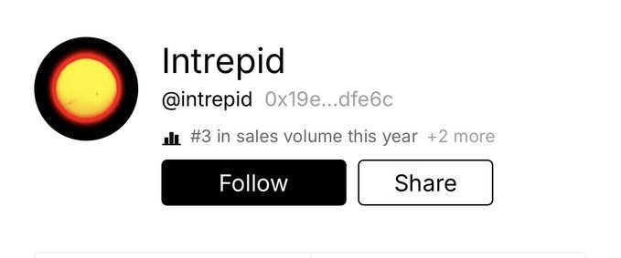 A profile header for "Intrepid" (@intrepid) on what appears to be SuperRare shows the artist ranked "#3 in sales volume this year" with options to Follow or Share. The image relates to the post about overcoming early resistance to photographers in the digital art space, as Intrepid is a well-known photography-based NFT artist who eventually rose to top sales rankings despite initial industry pushback.