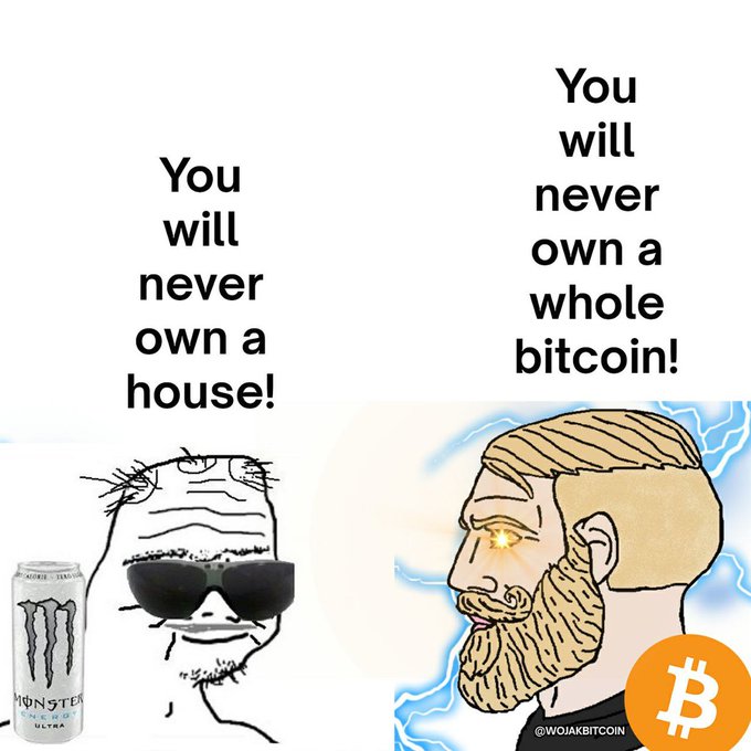 A Wojak-style meme contrasting a sad "doomer" drinking Monster Ultra with the text "You will never own a house!" against a glowing-eyed "Nordic" Chad Bitcoin maximalist labeled "WOJAKBITCOIN" stating "You will never own a whole bitcoin!", with a Bitcoin logo in the corner.