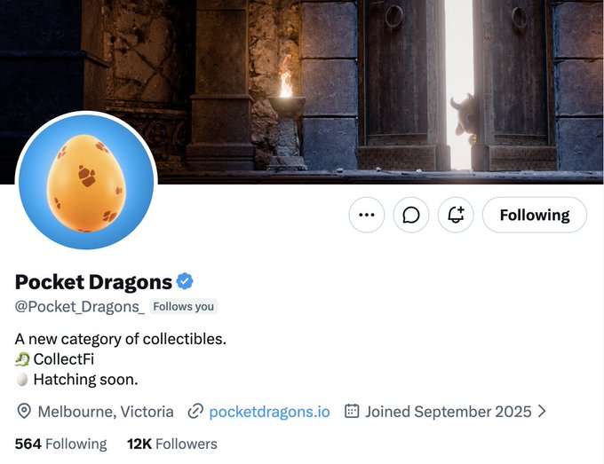 A Twitter profile page for 'Pocket Dragons' (@Pocket_Dragons), describing itself as 'A new category of collectibles' on CollectifFi, with a profile picture of a yellow speckled egg and a header image of a stone interior with a dragon.