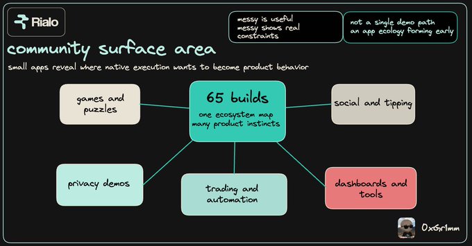 A hand-drawn style diagram from Rialo titled 'community surface area,' showing 65 builds branching into categories like games, privacy demos, trading, and social/tipping apps.