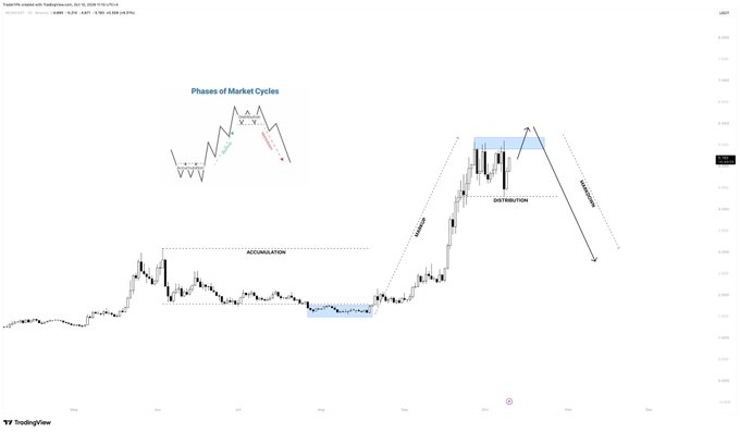 A TradingView chart titled 'Phases of Market Cycles' illustrates market movements with labeled phases including Accumulation, Markup, Distribution, and Markdown on a candlestick chart.