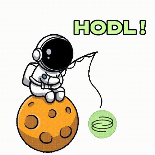 The image features a cartoon astronaut sitting on an orange planet with a green ball nearby. The caption reads "HODL!" which suggests that the astronaut might be involved in cryptocurrency or blockchain technology, possibly mining or investing in digital assets. The post also mentions the importance of privacy and confidentiality for those who participate in these emerging technologies.