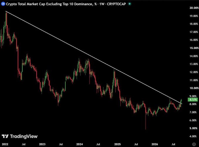 A TradingView chart titled 'Crypto Total Market Cap Excluding Top 10 Dominance, % - 1W - CRYPTOCAP' shows a downward trend line from around 19% in 2022 to about 8.57% in 2026.