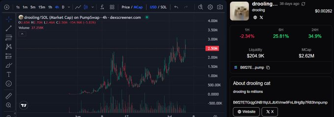 The image shows a Dexscreener trading chart for the meme coin "drooling/SOL" (drooling cat) on PumpSwap, displaying a price of $0.00262 with a market cap of $2.62M and 1H change of -2.34%, while the 6H and 24H gains stand at 25.61% and 34.9% respectively. This supports the post's claim about $DROOLING gaining increasing market attention in the cat-themed meme coin space, with notable medium-term gains despite short-term volatility.