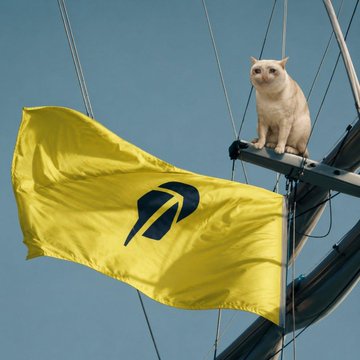 A white cat sits regally atop a structure next to a waving yellow flag featuring a black arrow logo, humorously captioned as the "CASHCAT" ticker with a nod to Robinhood—pairing the cat's poised, money-watching demeanor with the playful finance meme.