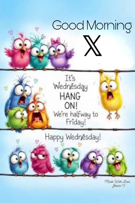 A Good Morning Wednesday greeting card featuring colorful cartoon owls hanging on wires with text reading 'HANG ON! We're halfway to Friday! Happy Wednesday!'