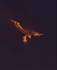 A bird soaring through a dark sky, its wings illuminated by an orange glow.