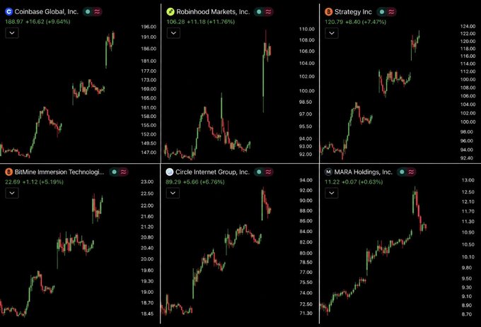 A grid of six stock/crypto charts on a dark background showing Coinbase Global (188.97, +9.64%), Robinhood Markets (106.28, +11.76%), Strategy Inc (120.79, +7.47%), BitMine Immersion Technologi (22.69, +5.19%), Circle Internet Group (89.29, +6.76%), and MARA Holdings (11.22, +6.03%).