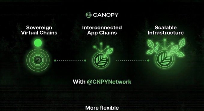 The image shows a graphic representation of three different types of chains, each with their own unique design. The first chain has a green circle at the center surrounded by leaves, symbolizing a virtual connection. The second chain features a green circle with a tree inside, representing an app chain. The third chain is depicted as a green circle with a tree and a lightbulb, signifying a scalable infrastructure. The image also includes text that reads "with CNPYNetwork Every app can have its own virtual chain Yet they all stay interconnected More scalable More flexible".