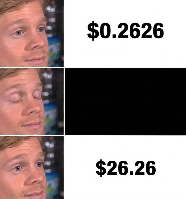 A three-panel meme featuring the "Blinking Guy" reacting to changing dollar amounts: $0.2626, then a black screen with eyes closed, then $26.26.