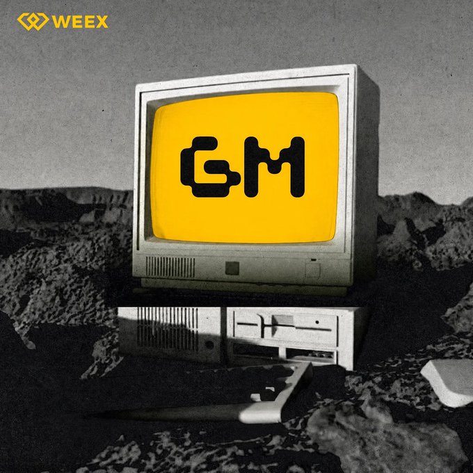 A retro-style image of a vintage CRT television on a rocky moonscape displaying a yellow screen with the 'GM' logo, with the 'WEEX' logo in the top-left corner.
