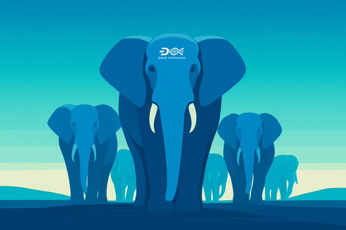 A blue-toned illustration of a herd of elephants against a sky background, with '3DNA Debt Evolution' logo on the central elephant's forehead.