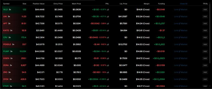 Trading positions table showing symbols including WLD, UNI, APE, KAITO, CRV, PENDLE, PUMP, EIGEN, ZORA, ZRO, DYDX, and ETHFI, with columns for Size, Position Value, Entry Price, Mark Price, PnL, and other metrics.